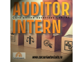 curs-online-auditor-intern-small-0