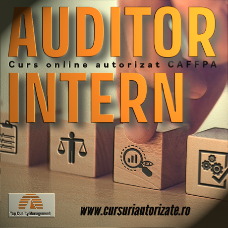 curs-online-auditor-intern-big-0