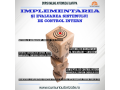 curs-online-implementarea-si-evaluarea-sistemului-de-control-intern-small-0