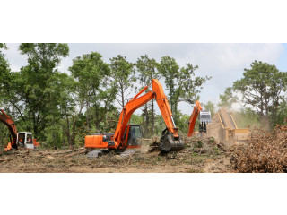 Servicii Profesionale de Defrișare și Curățare Terenuri