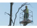 defrisari-terenuri-cu-utilaje-spcializate-prahova-small-4