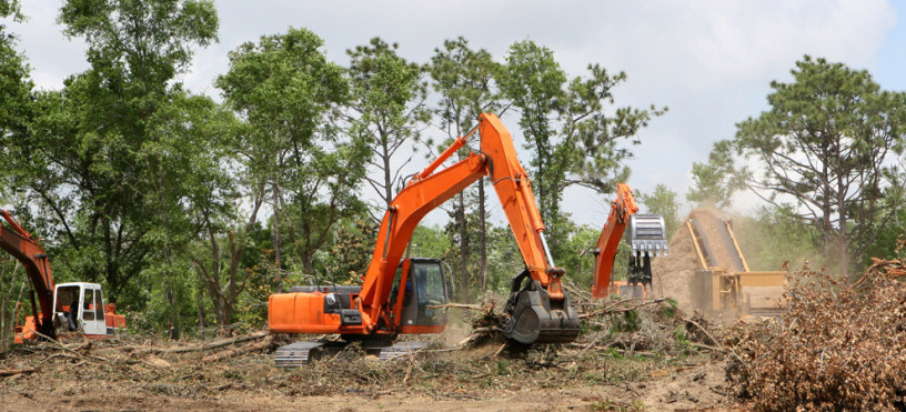defrisari-terenuri-cu-utilaje-spcializate-prahova-big-2