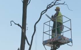 defrisari-terenuri-cu-utilaje-spcializate-prahova-big-4