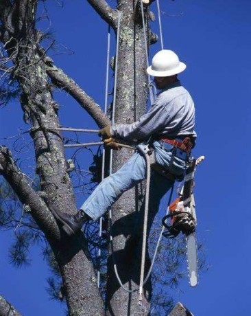 defrisari-terenuri-cu-utilaje-spcializate-prahova-big-5